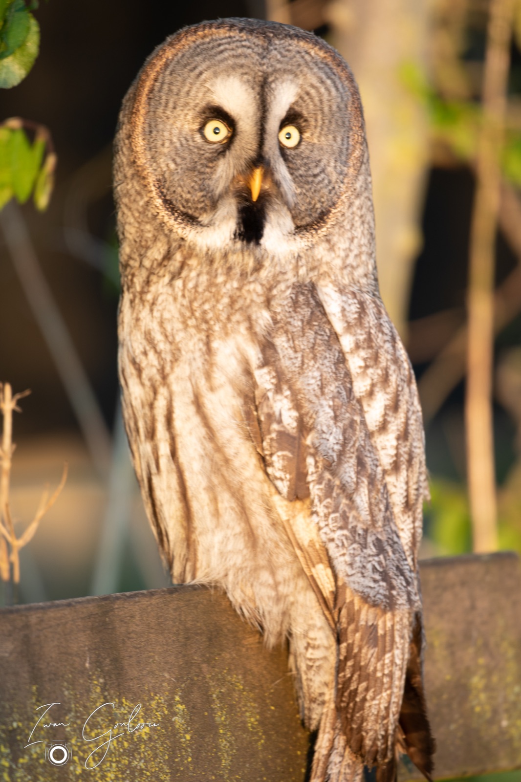 27 april 2022 064626  5D46912